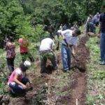 preparing for planting